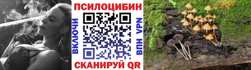Галлюциногенные грибы MAGIC MUSHROOMS дарнет шоп Обнинск