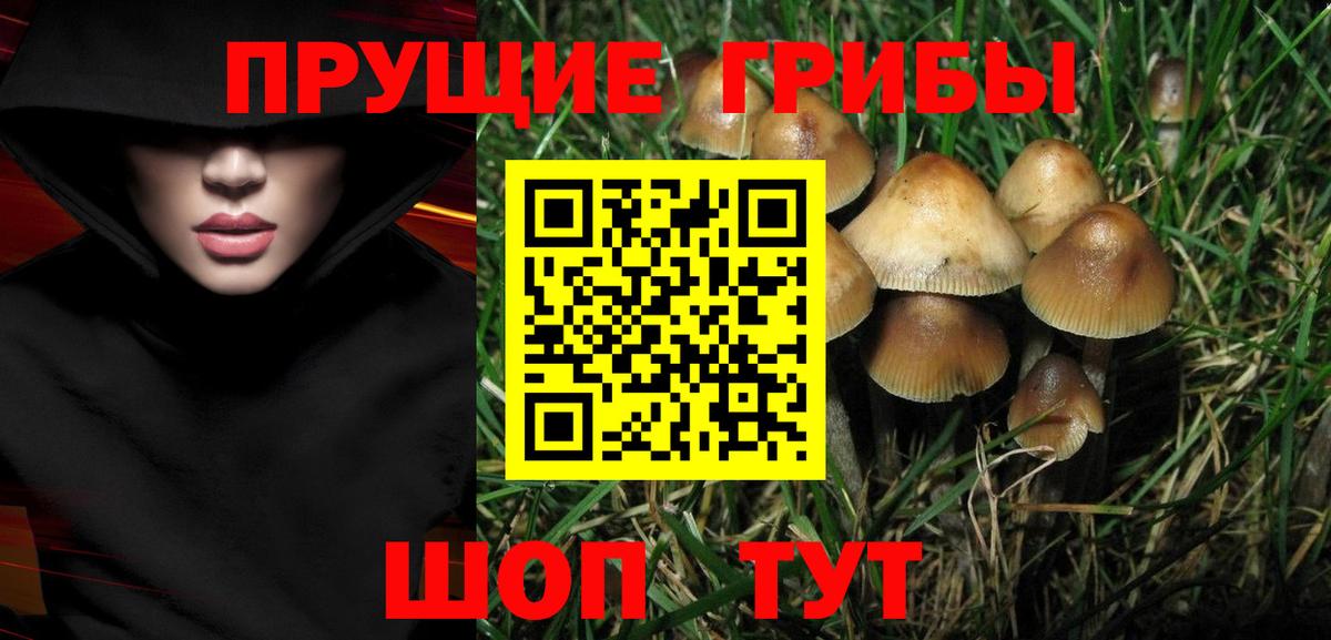 Галлюциногенные грибы Cubensis Обнинск