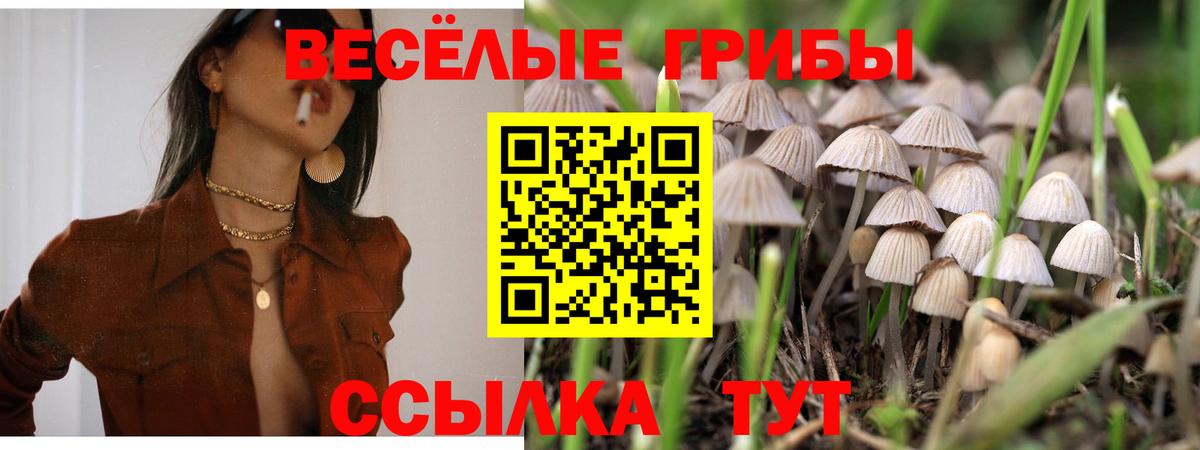 Галлюциногенные грибы ЛСД  Галлюциногенные грибы Psilocybe  Вход с VPN  Обнинск 